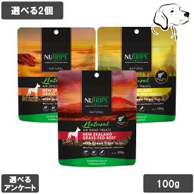 【マラソン中はP2倍以上】ニュートライプ 愛犬用 エアドライトリーツ 100g 選べる2個 送料無料