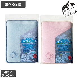 【マラソン中は全商品P2倍以上】 ユカクール 専用保冷剤付き 選べる2個 送料無料