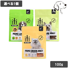 イティ 愛犬用 エアドライトリーツ 100g 選べる1個 送料無料
