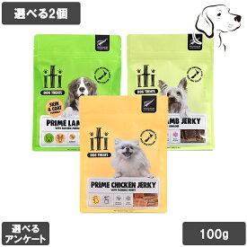 イティ 愛犬用 エアドライトリーツ 100g 選べる2個 送料無料
