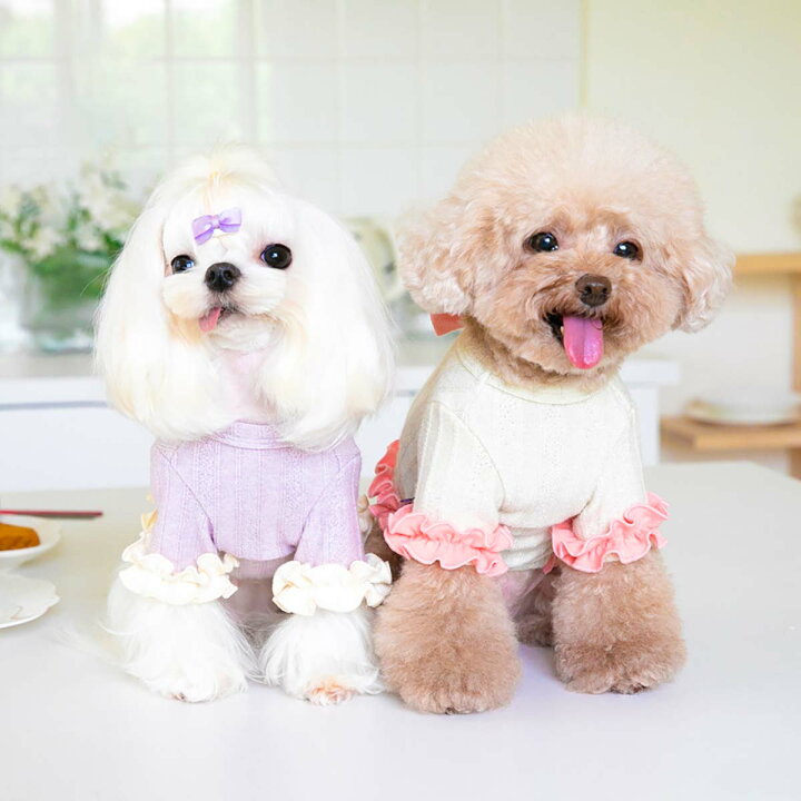 楽天市場】犬 服 かわいい おしゃれ 犬の服 サマーニット フリル 小型 