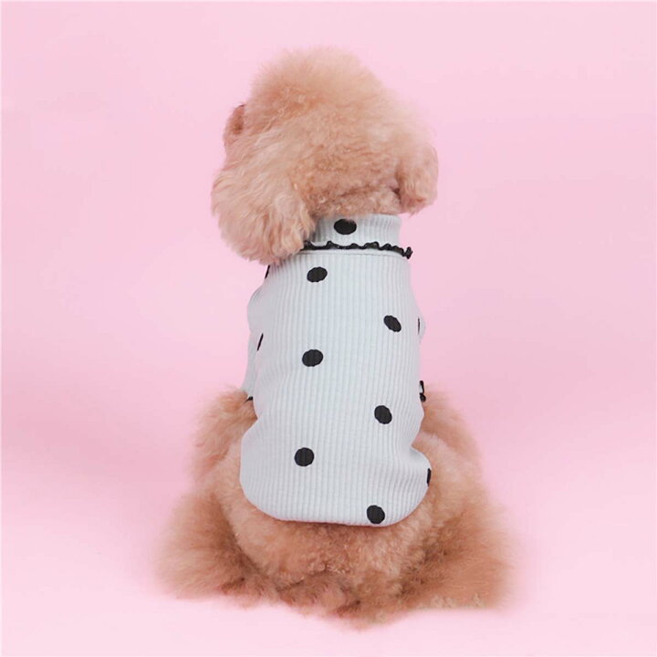 楽天市場】犬 服 かわいい 犬の服 小型犬 春夏 秋冬 ドッグウェア 長袖 