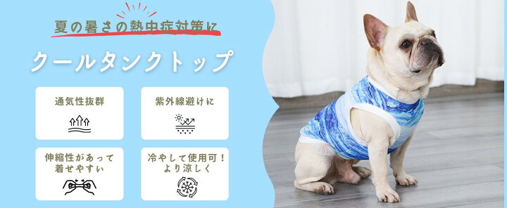 楽天市場】【50%OFF！】犬服 夏 メッシュ 犬夏服 犬 服 涼しい 