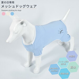   N[ Ђ胍p[X UVJbg bV ĕ     G炵 ⊴EFA ⊴f 킢 ̕ Vc t ^ ^ v`v ₷ gCv