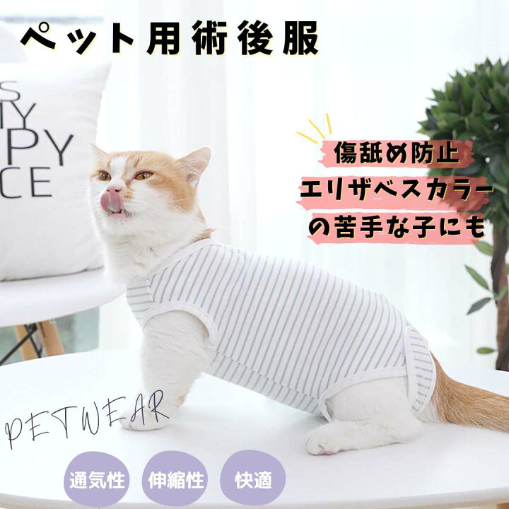 楽天市場】猫 術後服 避妊 去勢 猫 傷舐め防止 マジックテープ オス 
