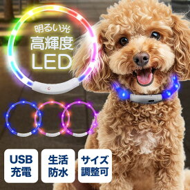 【楽天ランキング1位！】犬 首輪 光る 光る首輪 USB 充電式 散歩 首輪 ライト 夜散歩 防水 LED ライト 明るい サイズ調整可 柔らかい 小型犬 中型犬 大型犬 猫 軽量 簡単着脱 夜間 散歩 安全対策 ペット用品 便利 【レインボー レッド ピンク ブルー S M L】