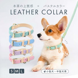【モニター価格 今だけ期間限定！】犬 首輪 リード レザー 革 丈夫 可愛い おしゃれ 軽い 柔らかい 小型犬 中型犬 犬首輪 チワワ トイプードル ダックス 男の子 女の子【ミントグリーン ピンク スカイブルー ラベンダー】