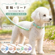 【モニター価格 今だけ期間限定！】犬 首輪 リード レザー 革 丈夫 可愛い おしゃれ 軽い 柔らかい 小型…