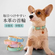 犬 首輪 リード レザー 革 丈夫 可愛い おしゃれ 軽い 柔らかい 小型犬 中型犬 犬首輪 チワワ トイプード…