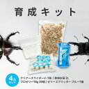 カブトムシ／クワガタ育成キット 4点セット クリアケース 乾燥水苔 プロゼリー×30個 ゼリースプリッター 昆虫飼育 ス…