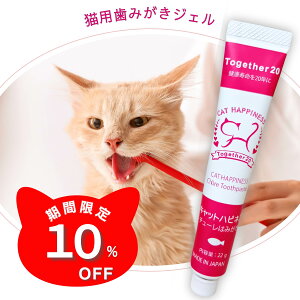 __X[p[SALE 10%It^^yIׂTvv[gtzL  L Lp  WF }^^rz y[Xg LPA a Lbg  ͂  u