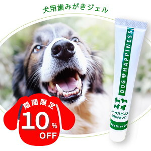 __X[p[SALE 10It^^yIׂTvv[gtz  ybg  L WF y[Xg  p hbO  uV y[Xg LPA  C 