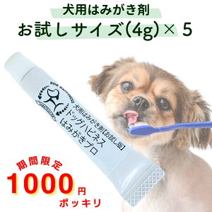 __X[p[SALE菤i ^^1000~ۂ hbOnslX݂͂vTCY5{Zbg 4g×5  p  WF y[Xg L LPA  C a I[