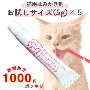 __X[p[SALE菤i ^^1000~ۂ LbgnslX`[݂͂TCY5{Zbg 5g×5 L  L Lp  WF }^^r y[Xg LPA a 