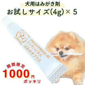 __X[p[SALE菤i ^^1000~ۂ hbOnslX݂͂vXTCY5{Zbg 4g×5  p  WF y[Xg L LPA  C a I[