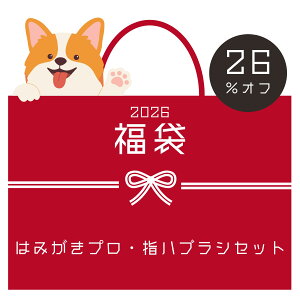 �_26���I�t�^2026���� �h�b�O�n�s�l�X�݂͂����v��45g �h�b�O�n�s�l�X�w�n�u���V2���� �� ������ �� �y�b�g ������ ���L �������W�F�� �������y�[�X�g �������� ���L�P�A ���� ���C �����a ��