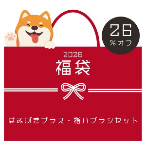 �_26���I�t�^2026���� �h�b�O�n�s�l�X�݂͂����v���X20g �h�b�O�n�s�l�X�w�n�u���V2���� �� ������ �� �y�b�g ������ ���L �������W�F�� �������y�[�X�g �������� ���L�P�A ���� ���C �����a 