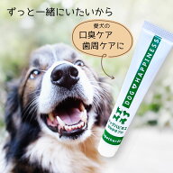 ＼選べるサンプルプレゼント付／犬 ペット 歯磨き 口臭 歯磨きジェル 歯磨きペースト 歯磨き粉 犬用 ドッ…