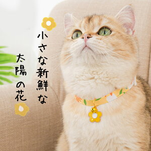 Lp ԕt ꂢ yĂ \ ɂȂ@4J[Iׂ TCY L@ y _炩 L lR̎ ԕ  Lp ybgp ^L ^L