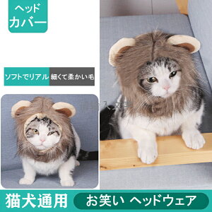 CIwbhZbg ybgt ΂ wbhEFA ꂢ ʔ t@ ^ L ^ L Xq ybgp   sN LXq  ybg ʐ^Be  S 