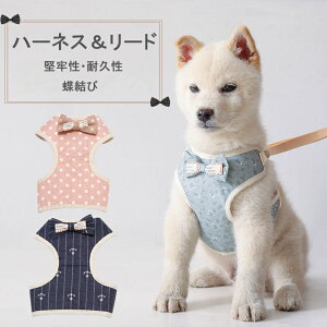 ybgn[lX[h SU op  Lʗp[h n[lX[hZbg UyȂ ^L 킢 ybgpi n[lX ̃[h ɂ₳ _