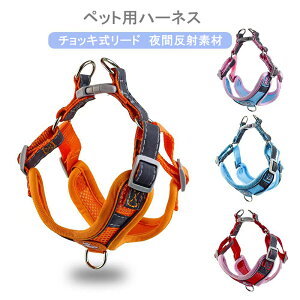 ybgn[lX[h ^ ^ `bL[h ʋC Ԕˑf  S  v _炩 ȒPE ߉\  ybgpi U o s `bL