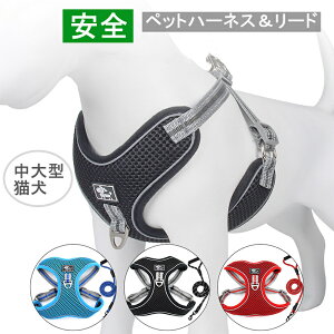 Lʗp[h [v dۏ s ȒPE ߉\ ʋC Lp[h UyȂ Ԕˑf L^ ^L 킢 ybgn[lX[h Lʗp ybgp