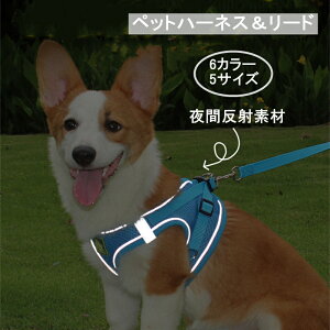 dۏ Kтh Lʗp[h [v s ȒPE ߉\ ʋC Lp[h UyȂ Ԕˑf L^ ^L 킢 ybgn[lX[h 