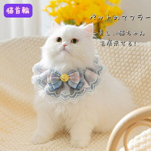 Lp \ ɂȂ lN^C L   킢 L lR̎  Lp TCY L ȒP yď_炩 y ybg z Be  ybg D