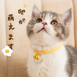  y _炩 Lp L lR̎ a  Lp ybgp t ꂢ yĂ \ ɂȂ 3colors TCY L ȒP S ybg 