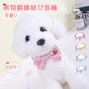 ʕ{ \ V ɂȂ lN^C Lʗp   킢 lR̎  Lp TCY L ȒP yď_炩 y ybg |GXe 