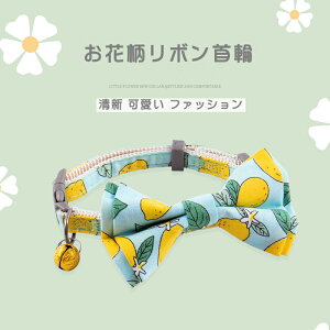 ԕ{ ꂢ Be  ?i ybg V ɂȂ Lʗp   킢 lR̎  Lp TCY L ȒP _炩 y ybg |