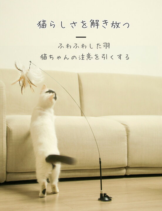 至上 猫じゃらし 猫おもちゃ 羽棒 鈴付き 羽のおもちゃ 噛むおもちゃ ストレス解消 運動不足解消 猫用品 かわいい ピンク 6本セット Ie Monogatari Jp