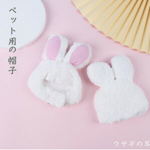  LpEBbO ybgpXq RXv CI L蕨 @_炩Ēg@ H ~ @LpXq