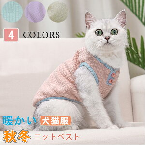 uXS[XLvjbgxXg hbOEFA ybgp p  H~ g ybgL ߑ L єL Ȃ hbOEFA ybg  L ӂ   o| 