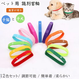 「S、M、L」12色セット ペット用 識別首輪 数字付 超軽量 ペット用首輪 猫 子犬用首輪 調節可能 犬用バンド かわいい 軽い 簡単着脱 子犬識別 猫用首輪 ペット用品 おもちゃ飾り サイズ調整可能 可愛い 撮影用 高級感首輪 マジックテープ付き 保護用 子犬・子猫用識別カラー