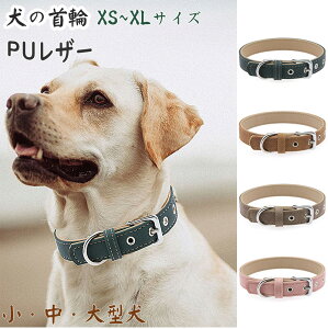 uXS`XLvpPUU[  ybgp PU pi   IV  JCC ybgp p hbOp hbO̎  ybgp ߉\ y _