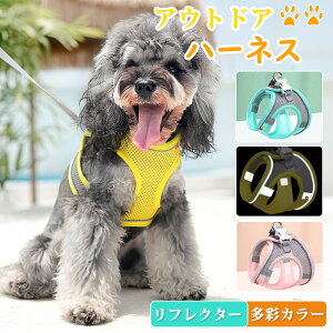 ̃ leash Ȃybgn[lX tN^[t SUP qpUZbg XG[hn[lX n[lX t@bVn[lX yʃbVn Sn[lX ^ ^