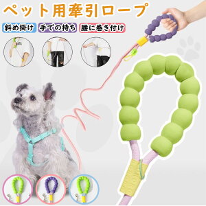 }`[v tN^[t SUP qpUZbg  ߊ| ł̎ Ɋt sN x_[ t@bV _炩 h[p~F ̂o ̎Up 