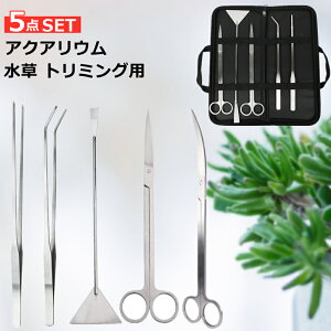 y5_Zbgz  g~Op ̂ ANAE nT~ sZbg XeX eiX CAEg g~OZbg [obOt tb^[ Xg[gnT~ J