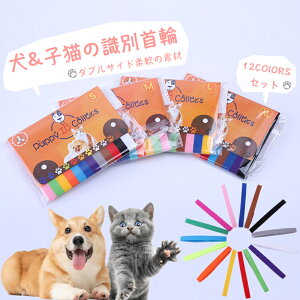 ybgpʎ qL qp _uTCh_̑f ps[p 12FZbg q&qL̎ ߉\ ȒPE q }WbNe[vt VybgLp̒\