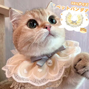 ybgANZT[ L̎ ybgo_i LEFA ĕ 킢 t ybgObY ybg ybgp  XJ[t L 悾ꂩ t^I ybg ߑ L S