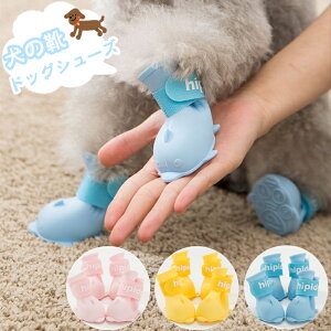 ̌C ybgp   hbOJu[c ی hbOV[Y  C V[Y p o y h JC ~ C hf Cu[c pȒP ȟC X|[c C 