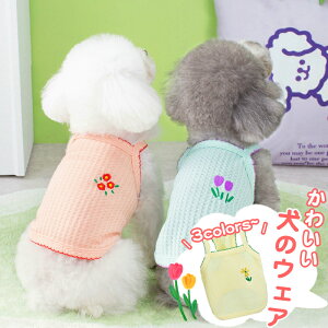 ybg _炩 \tg   킢  s[X EFA  t  ʋCǂ ybgObY ĕ zn  ybgp pEFA s[X t ^ U ̕ 