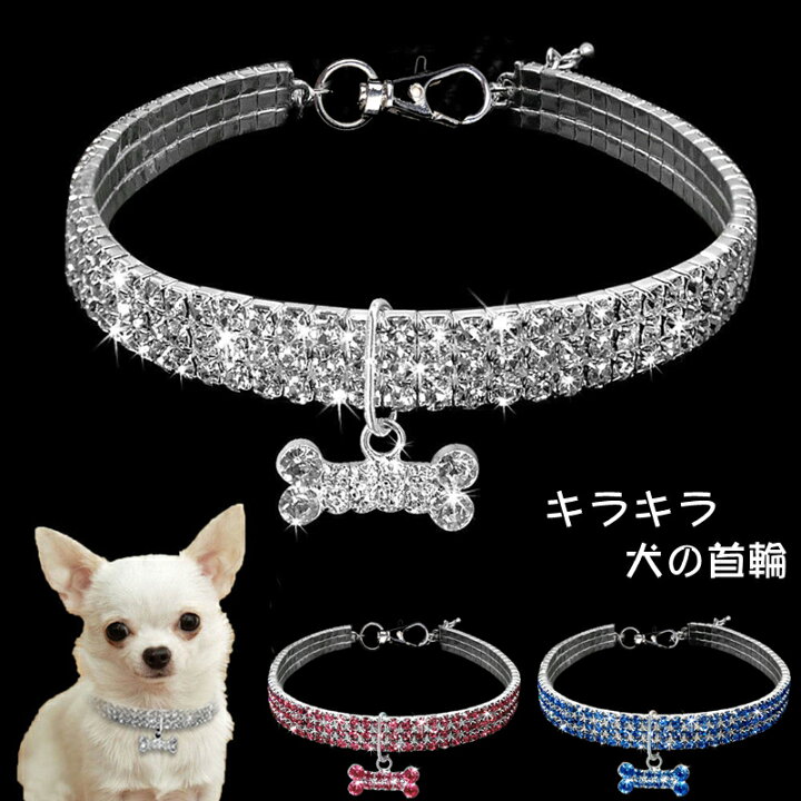 楽天市場】犬 首輪 犬の首輪 弾力がある おしゃれ かわいい 小型犬 