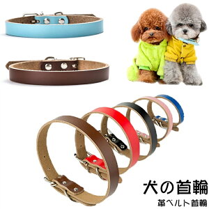  pց@Vv  ̎ ybg U[ v  킢 ^ ^  т    v U[ p ybg   Vv pi o U