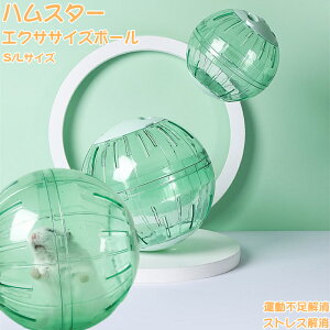 nX^[GNTTCY{[ nX^[{[ ^p{[ ^s nX^[p  ͂ƌ ybgVя   12.5cm 18cm ^p{[ ^ h[t