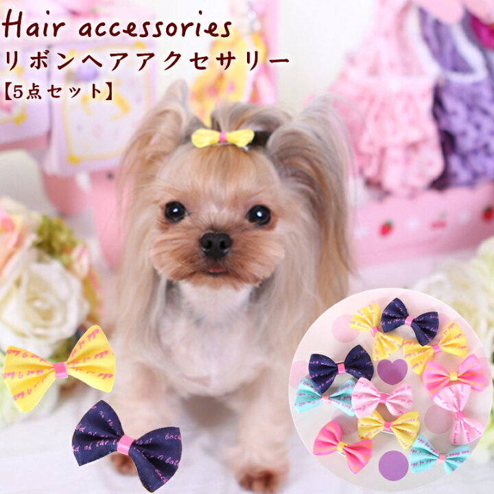 楽天市場】犬 ヘアアクセサリー 5点セット リボン 可愛い ヘアボウ 犬 