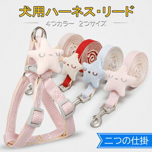 pn[lX ybgp p  U iC [v pR pj ȒPE ߉\ S x ybgp[h p Lp pn[lX Lpn[lX n[lX  L 