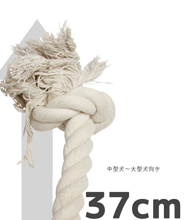 楽天市場 犬 おもちゃ ロープ 歯磨き コットン 縄 丈夫 天然素材 安心 安全 小型犬 子犬 噛み癖 ストレス発散 M Pets Rope26 Petifam ペットグッズ専門店petifam